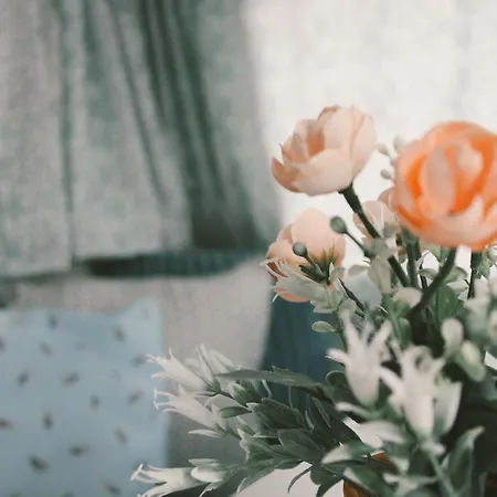 Het Caravannetje - Retro Glamping *