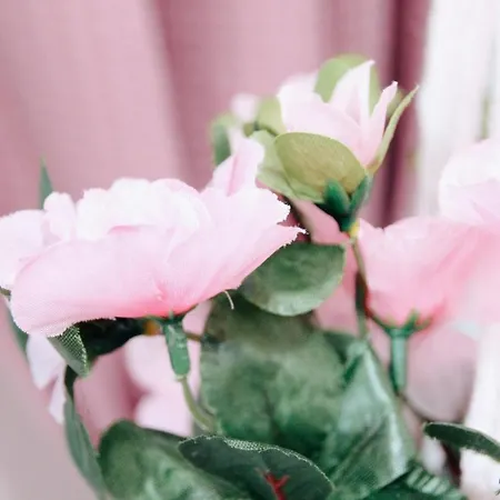 Bed & Breakfast Het Caravannetje - Retro Glamping Leidschendam