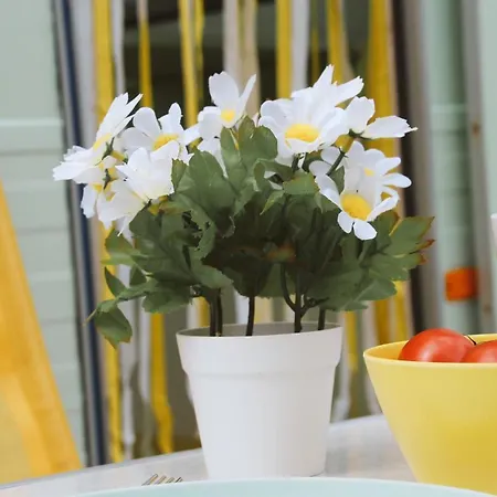 Bed & Breakfast Het Caravannetje - Retro Glamping Leidschendam