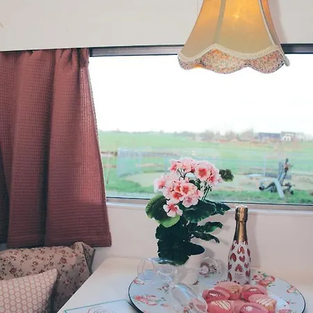 Het Caravannetje - Retro Glamping * Leidschendam