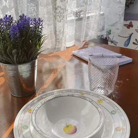 Het Caravannetje - Retro Glamping Bed & Breakfast Leidschendam