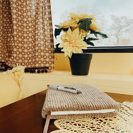 Het Caravannetje - Retro Glamping Leidschendam