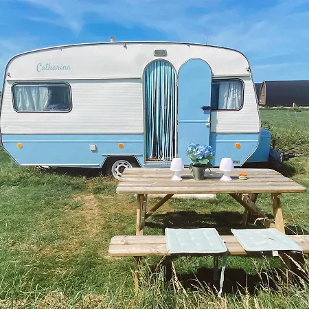 Het Caravannetje - Retro Glamping *
