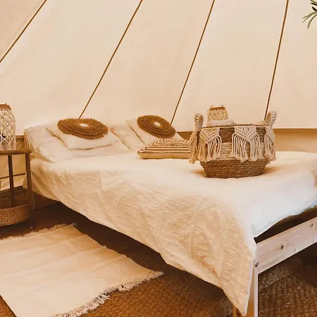 Bed & Breakfast Het Caravannetje - Retro Glamping