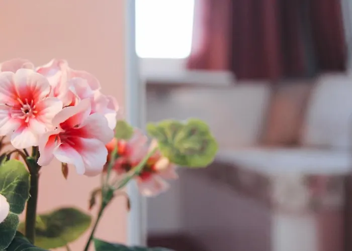 Het Caravannetje - Retro Glamping Leidschendam