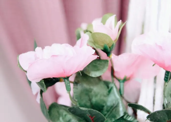 Bed & Breakfast Het Caravannetje - Retro Glamping Leidschendam