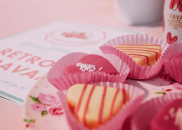 Het Caravannetje - Retro Glamping B&B 라이쉔담