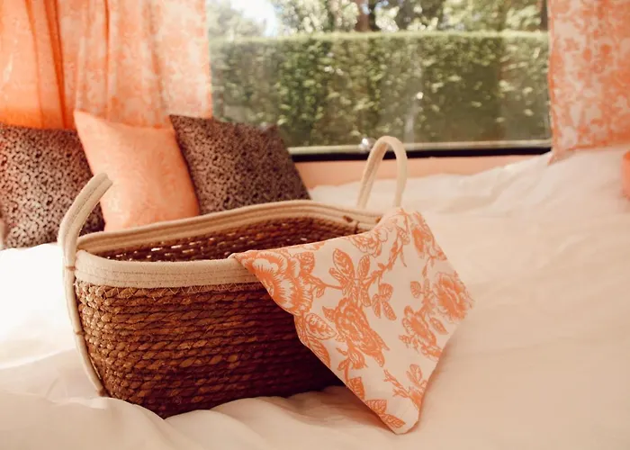 Het Caravannetje - Retro Glamping Bed and breakfast