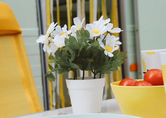 Bed & Breakfast Het Caravannetje - Retro Glamping Leidschendam