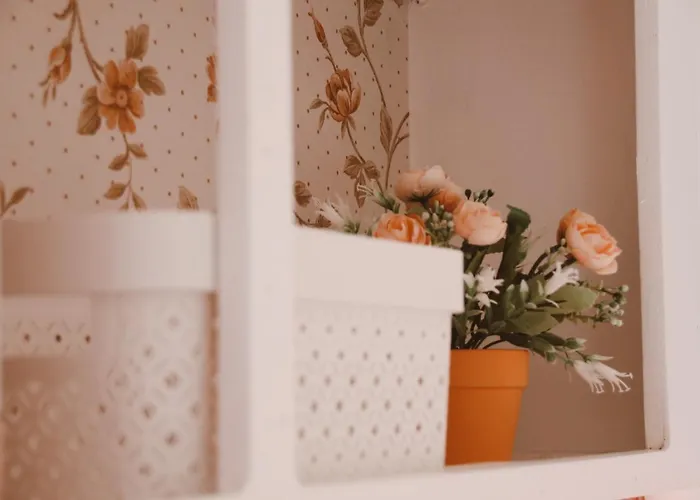 Het Caravannetje - Retro Glamping