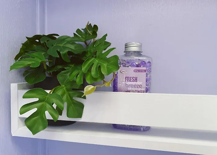 Het Caravannetje - Retro Glamping Bed and breakfast *