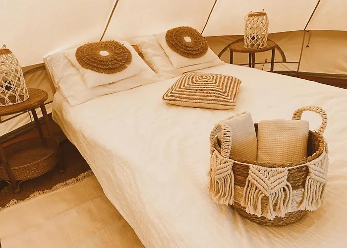 Het Caravannetje - Retro Glamping 라이쉔담