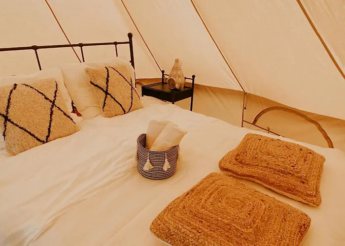 Het Caravannetje - Retro Glamping Bed and breakfast Leidschendam