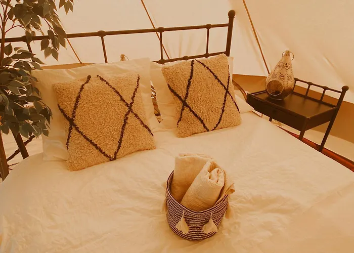 Bed and breakfast Het Caravannetje - Retro Glamping