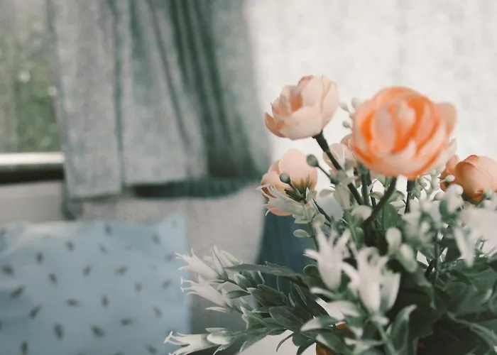 Het Caravannetje - Retro Glamping *