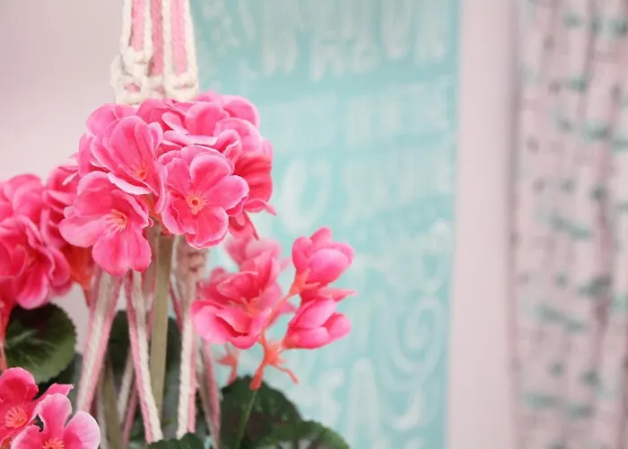 לינה וארוחת בוקר Het Caravannetje - Retro Glamping ליידסנדאם