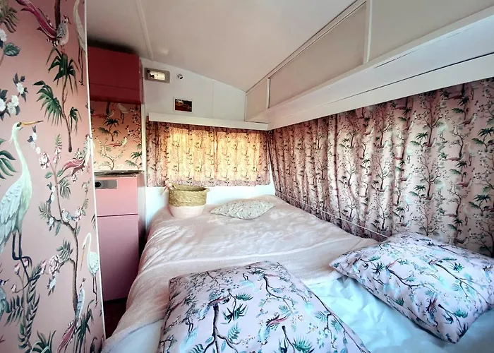 Het Caravannetje - Retro Glamping לינה וארוחת בוקר ליידסנדאם
