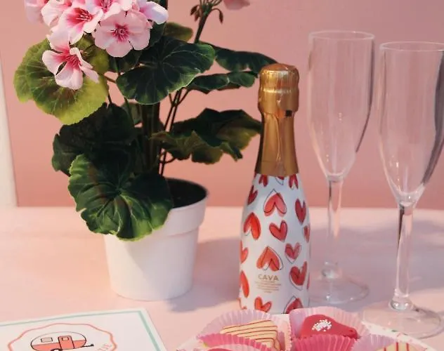 Het Caravannetje - Retro Glamping ליידסנדאם