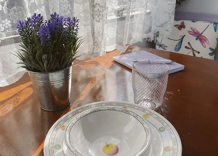 Het Caravannetje - Retro Glamping לינה וארוחת בוקר ליידסנדאם