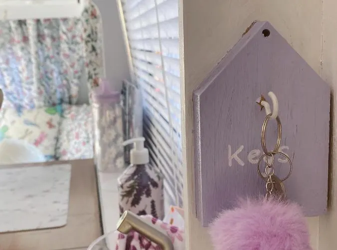 Het Caravannetje - Retro Glamping ליידסנדאם