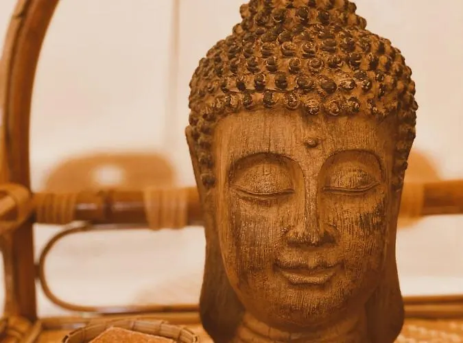 Het Caravannetje - Retro Glamping * ליידסנדאם