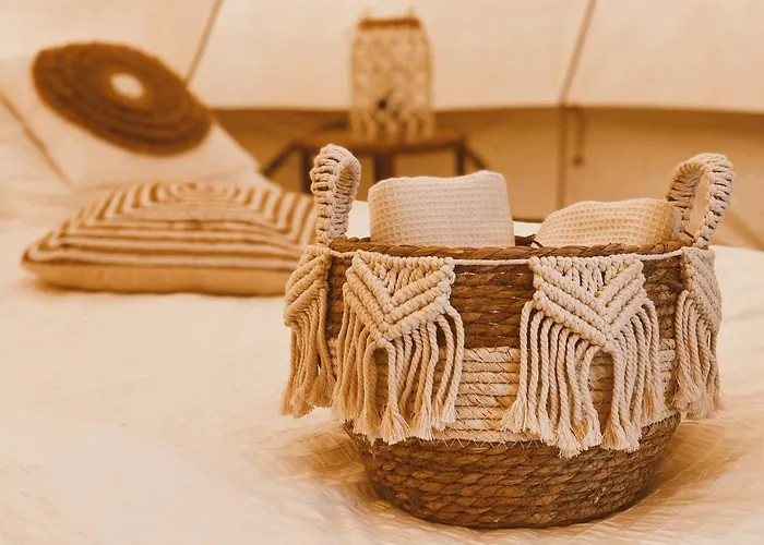 Het Caravannetje - Retro Glamping